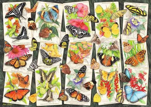 RAVENSBURGER Tropical Butterflies 1000 Pc Puzzle