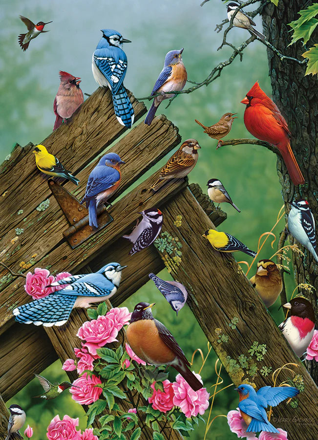 COBBLE HILL Birds of the Forest | 1000 Piece