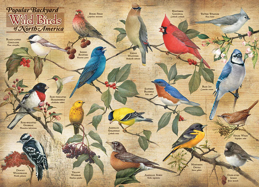 COBBLE HILL Popular Backyard Wild Birds of North America | 1000 Piece