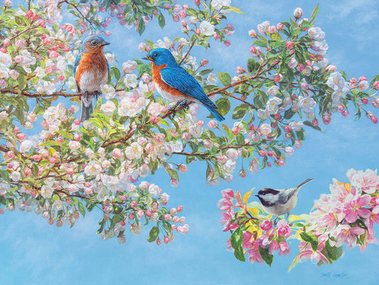 COBBLE HILL Blossom Festival | Easy Handling 275 Piece