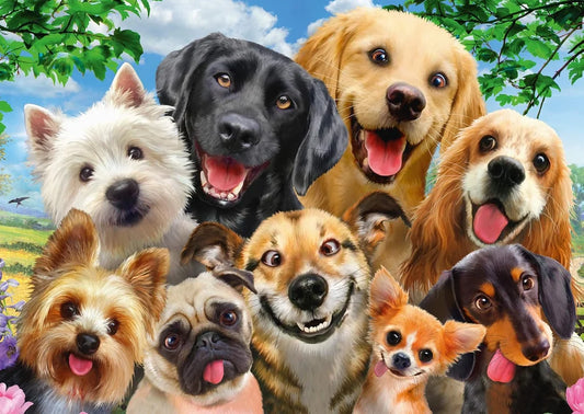 SCHMIDT DOG SELFIE 500pcs