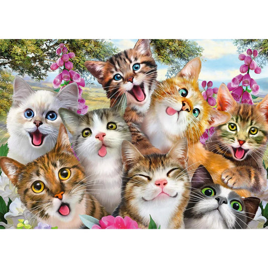 SCHMIDT CAT SELFIE 500 PCS