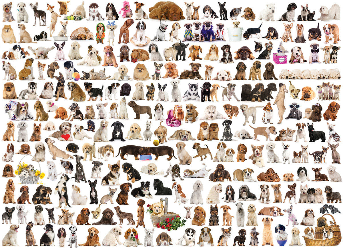 EuroGraphics The World of Dogs 1000-Piece Puzzle