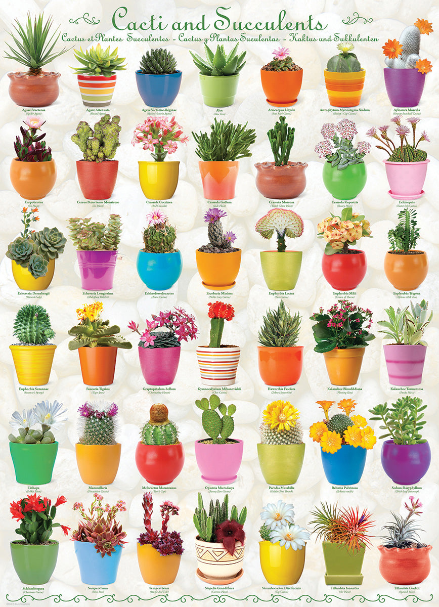 EuroGraphics Cacti & Succulents 1000-Piece Puzzle
