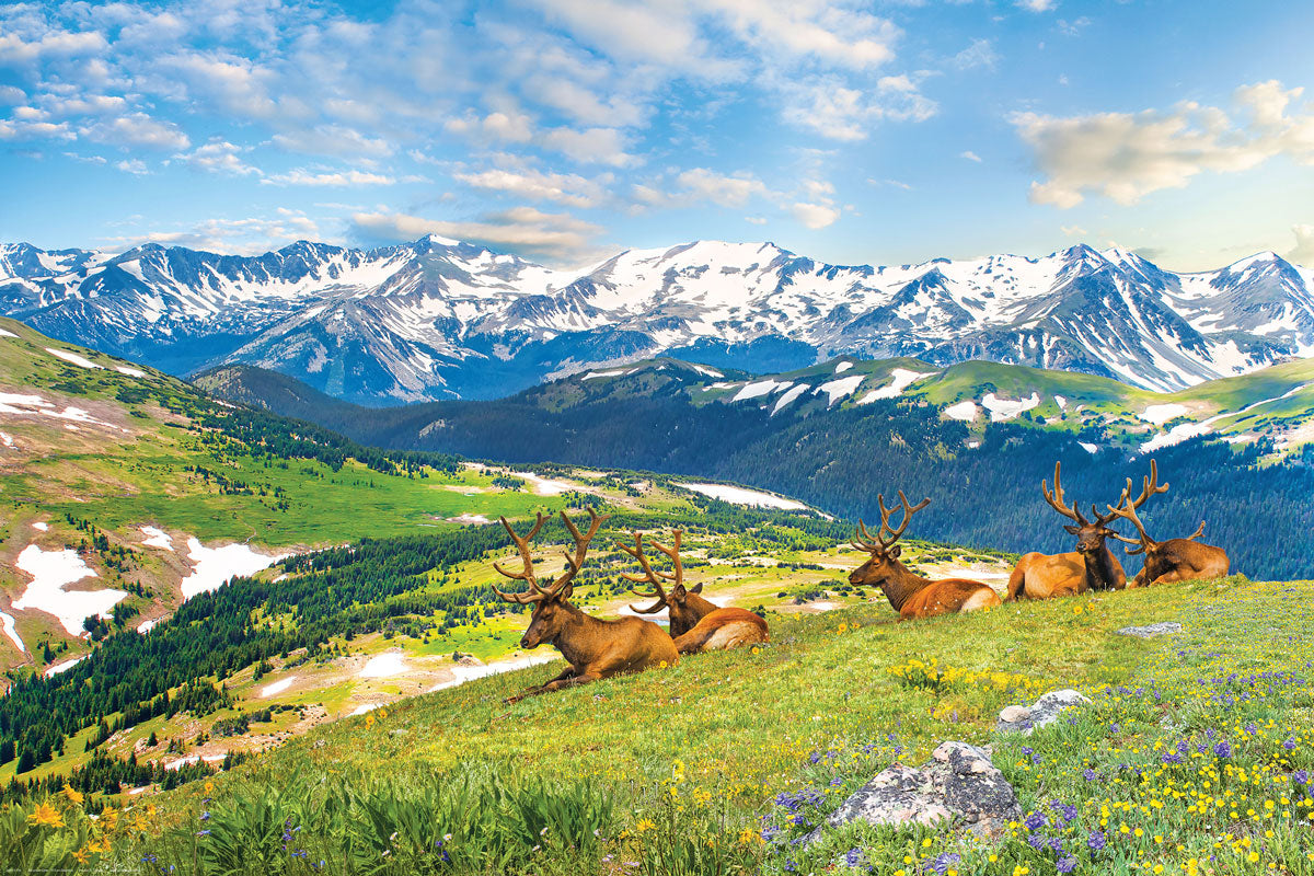 Eurographics Mountain Elks 1000-Piece Puzzle