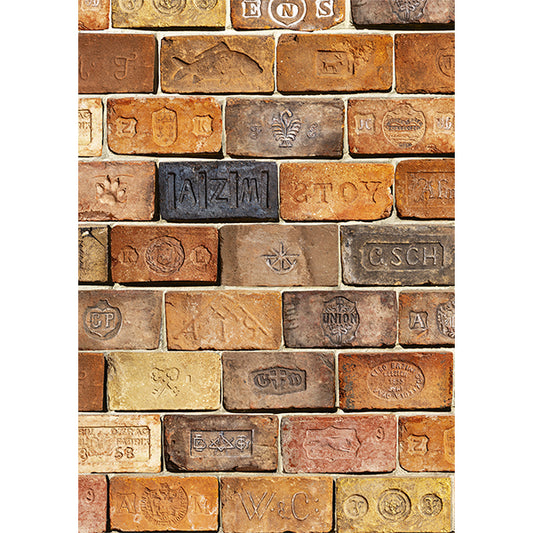 PIATNIK Bricks 1000pcs