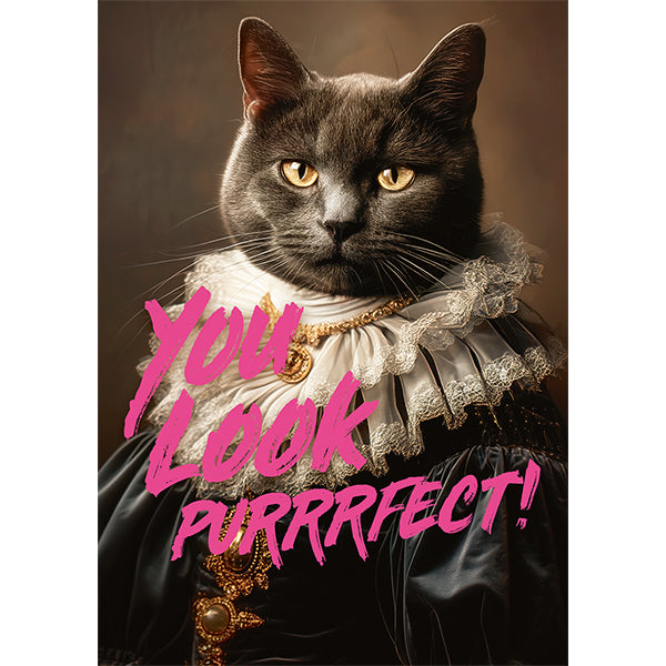 PIATNIK You Look Purrrfect! 1000pcs