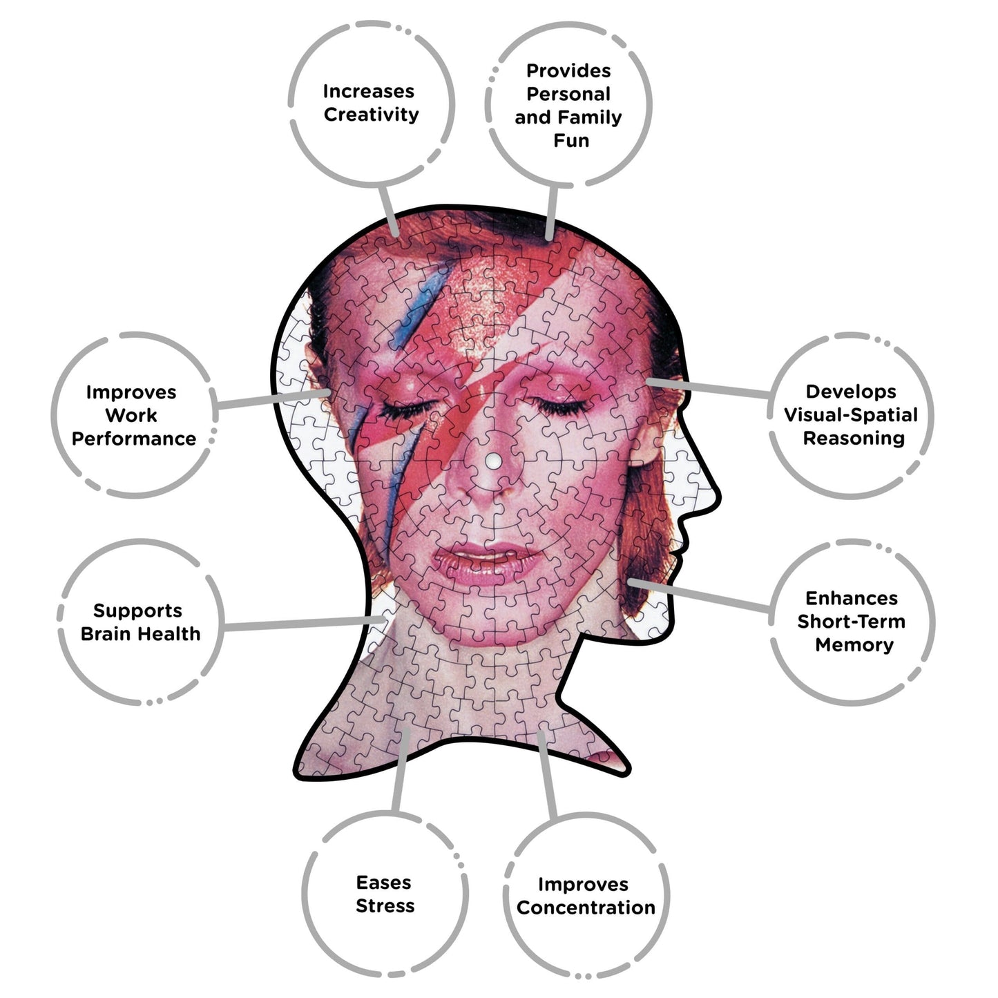 AQUARIUS David Bowie Aladdin Sane 450 Piece Picture Disc Jigsaw Puzzle
