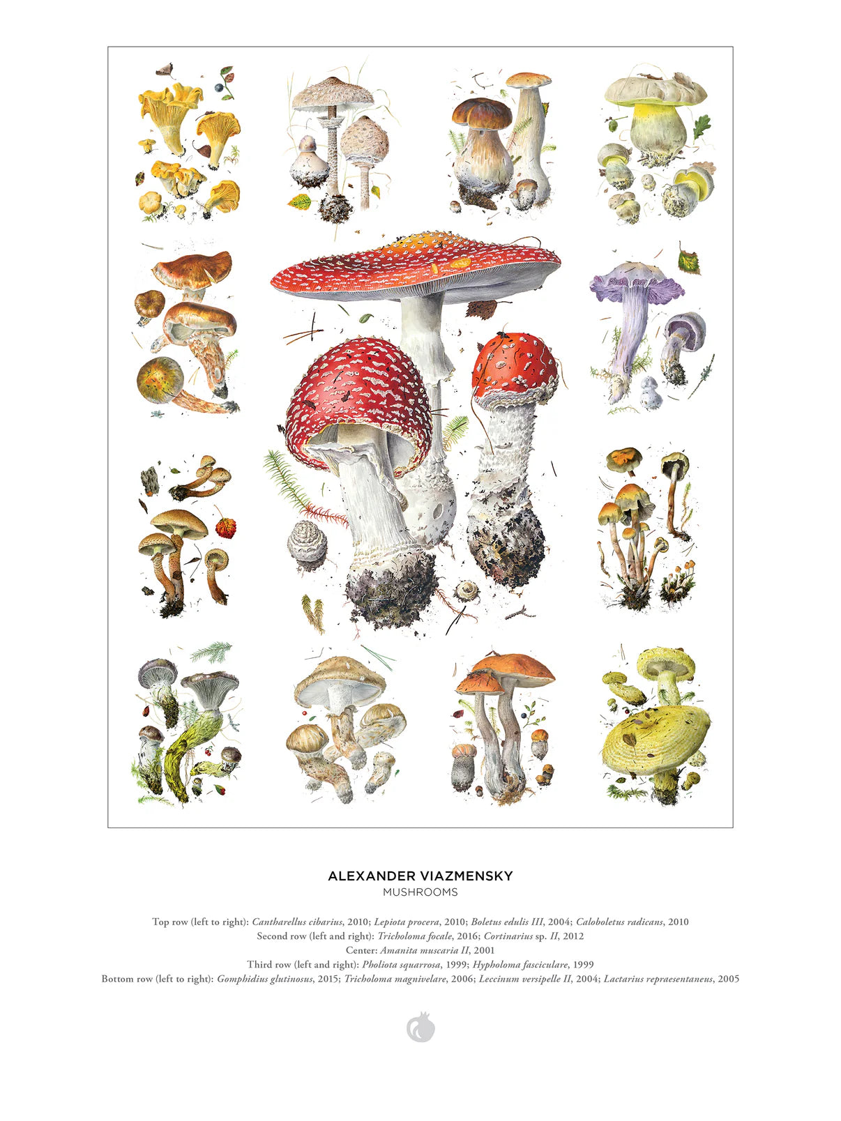 Pomegranate, Mushrooms: Alexander Viazmensky 1000-Piece Jigsaw Puzzle