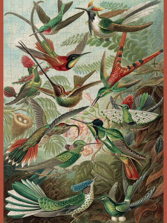 Pomegranate, Ernst Haeckel: Hummingbirds 300-Piece Jigsaw Puzzle