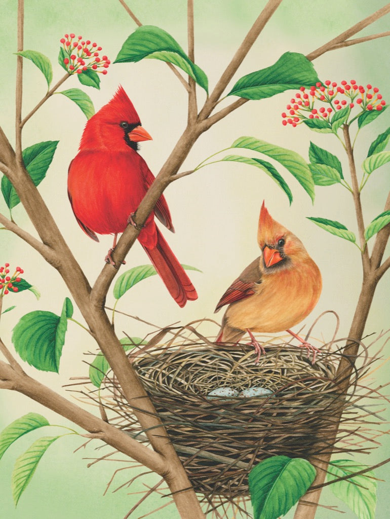 NEW YORK PUZZLE COMPANY, Northern Cardinals, 500 pcs