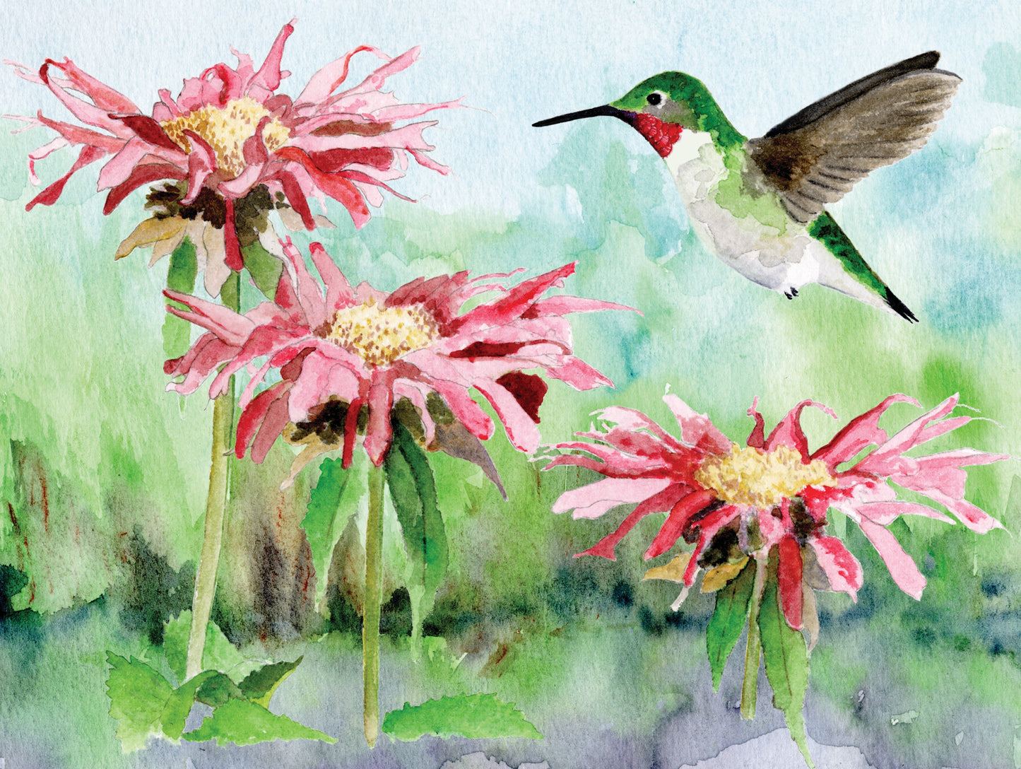 NEW YORK PUZZLE COMPANY, Ruby-throated Hummingbird, 1000 pcs