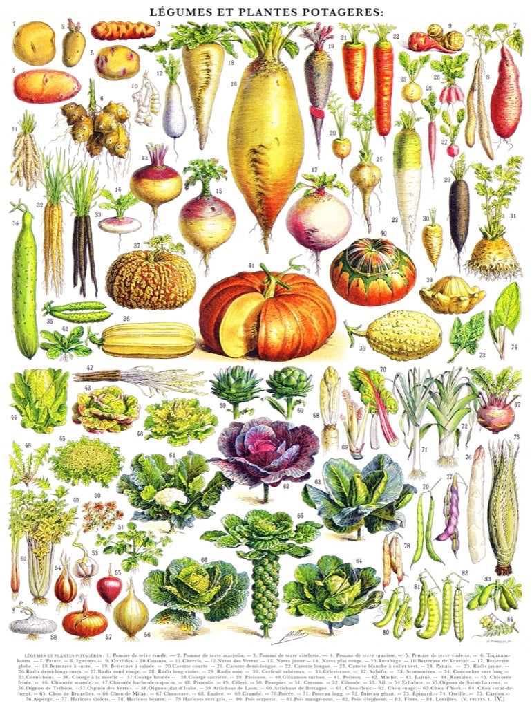 NEW YORK PUZZLE COMPANY, Vegetables ~ Légumes, 1000 pcs