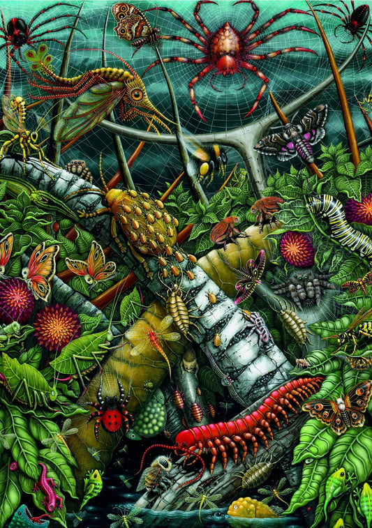ART & FABLE Orb Weavers 1000 PCS