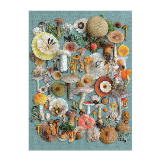 GALISON Foraged 1000 Piece Puzzle