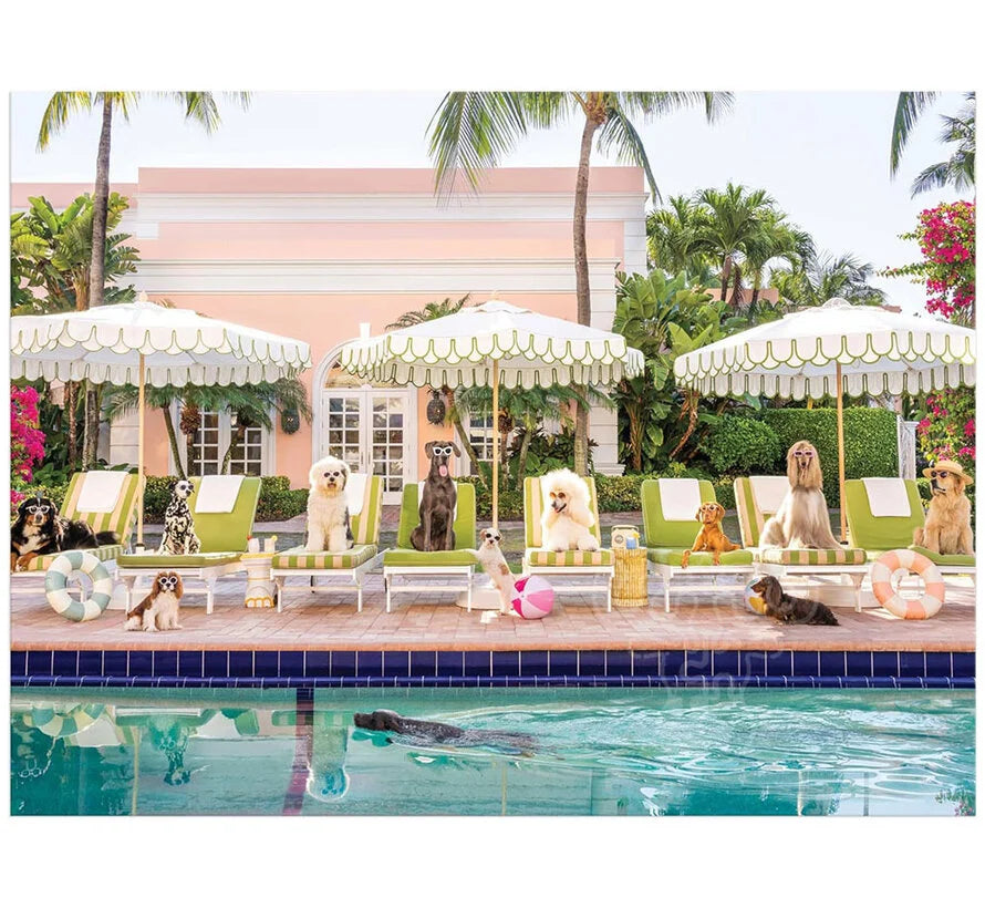 GALISON Gray Malin Palm Beach 1000 Piece Book Box Puzzle