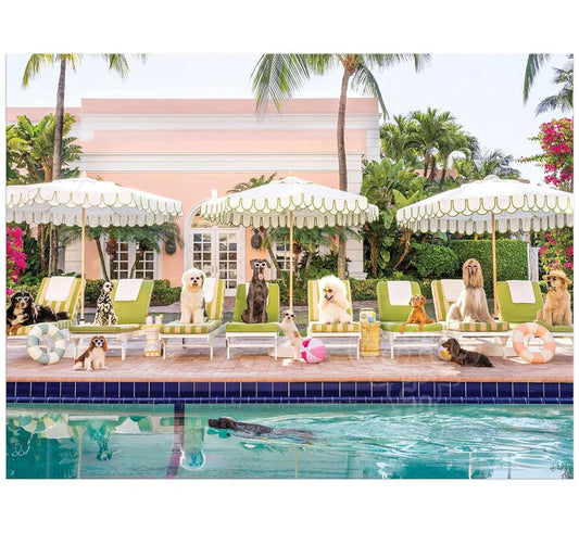 GALISON Gray Malin Palm Beach 1000 Piece Book Box Puzzle