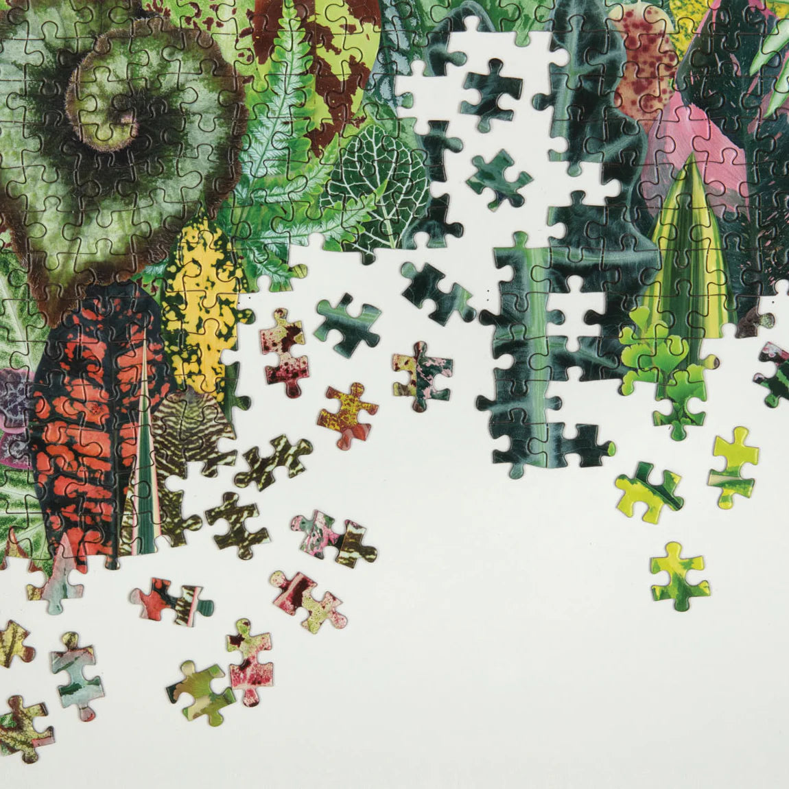 GALISON Houseplant Jungle 1000pc Puzzle