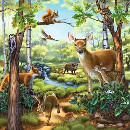 RAVENSBURGER Forest/Zoo/Domestic Animals 3x49 pc Puzzle