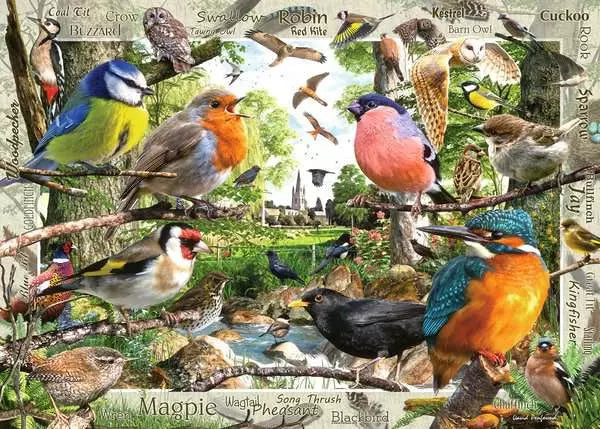 Ravensburger Our Feathered Friends 1000 pc Puzzle