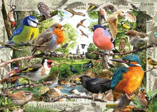 Ravensburger Our Feathered Friends 1000 pc Puzzle