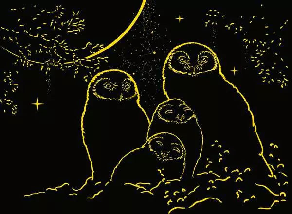 Ravensburger Glow in the Dark: Owls in the Moonlight 500 pc Puzzle