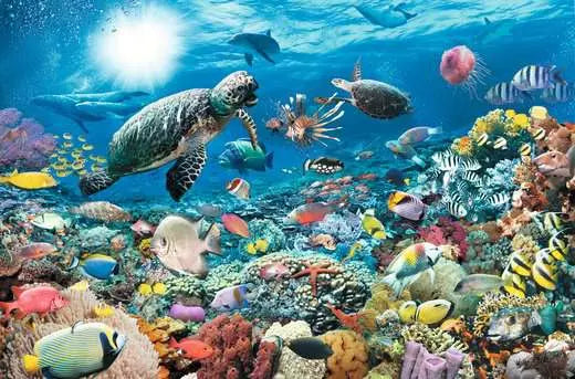 RAVENSBURGER Beneath the Sea 5000 pc Puzzle