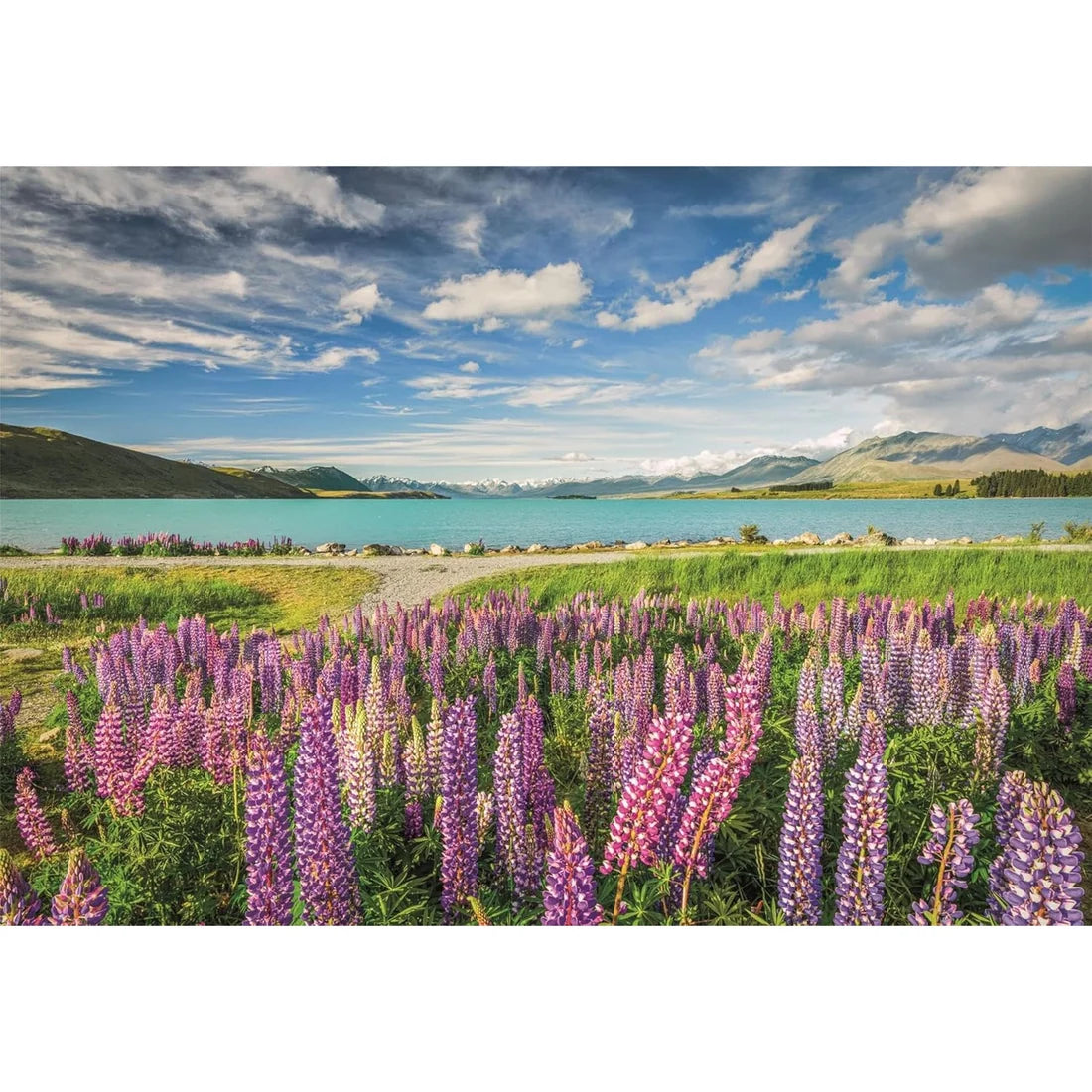 CLEMENTONI, LUPINS AT LAKE TEKAPO, 1500pcs