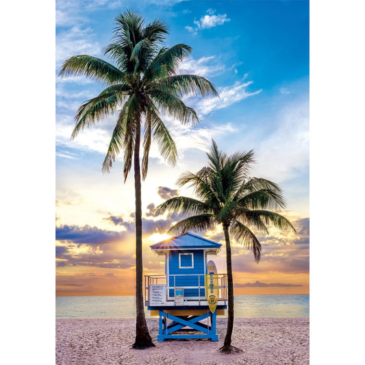 CLEMENTONI MIAMI BEACH, FLORIDA 500 pcs