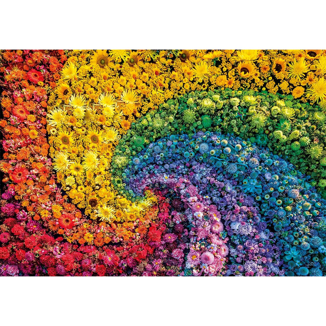 CLEMENTONI COLORBOOM: WHIRL 1000 PCS