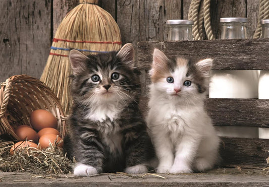 CLEMENTONI LOVELY KITTENS 1000 PCS