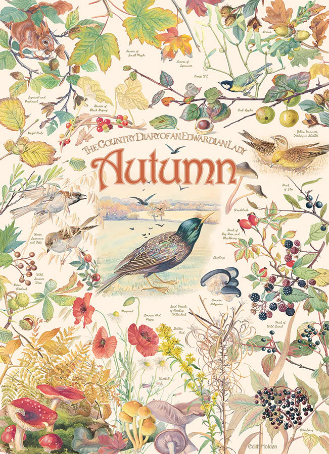 COBBLE HILL Country Diary: Autumn | 1000 Piece