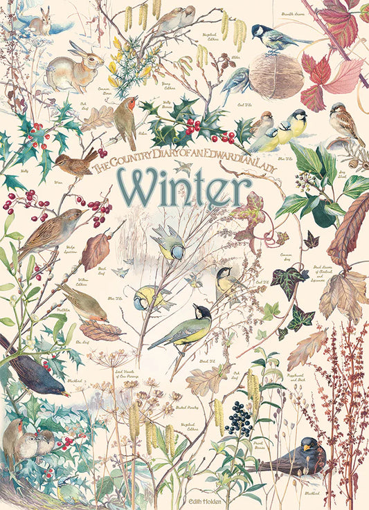 COBBLE HILL Country Diary: Winter | 1000 Piece