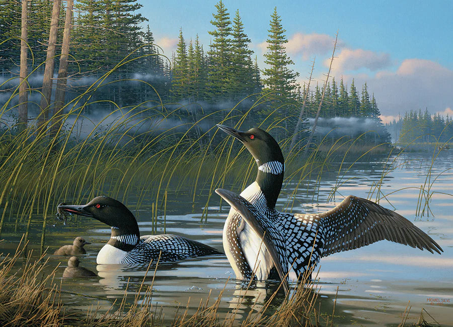 COBBLE HILL Common Loons | 1000 Piece