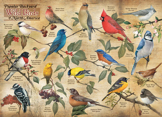 COBBLE HILL Popular Backyard Wild Birds of North America | 1000 Piece