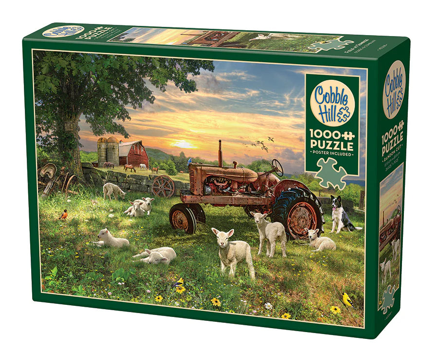 COBBLE HILL Field at Sunrise | 1000 Piece