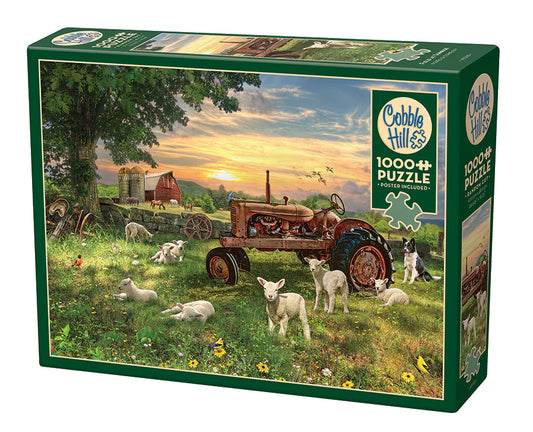 COBBLE HILL Field at Sunrise | 1000 Piece