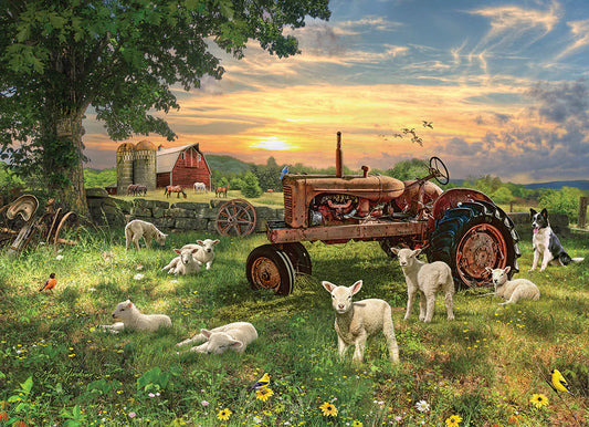 COBBLE HILL Field at Sunrise | 1000 Piece