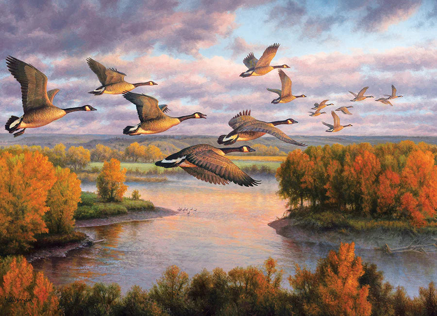 COBBLE HILL Migration | 1000 Piece