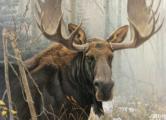 COBBLE HILL Bull Moose | 500 Piece
