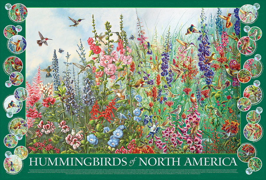 COBBLE HILL Hummingbirds of North America | 2000 Piece