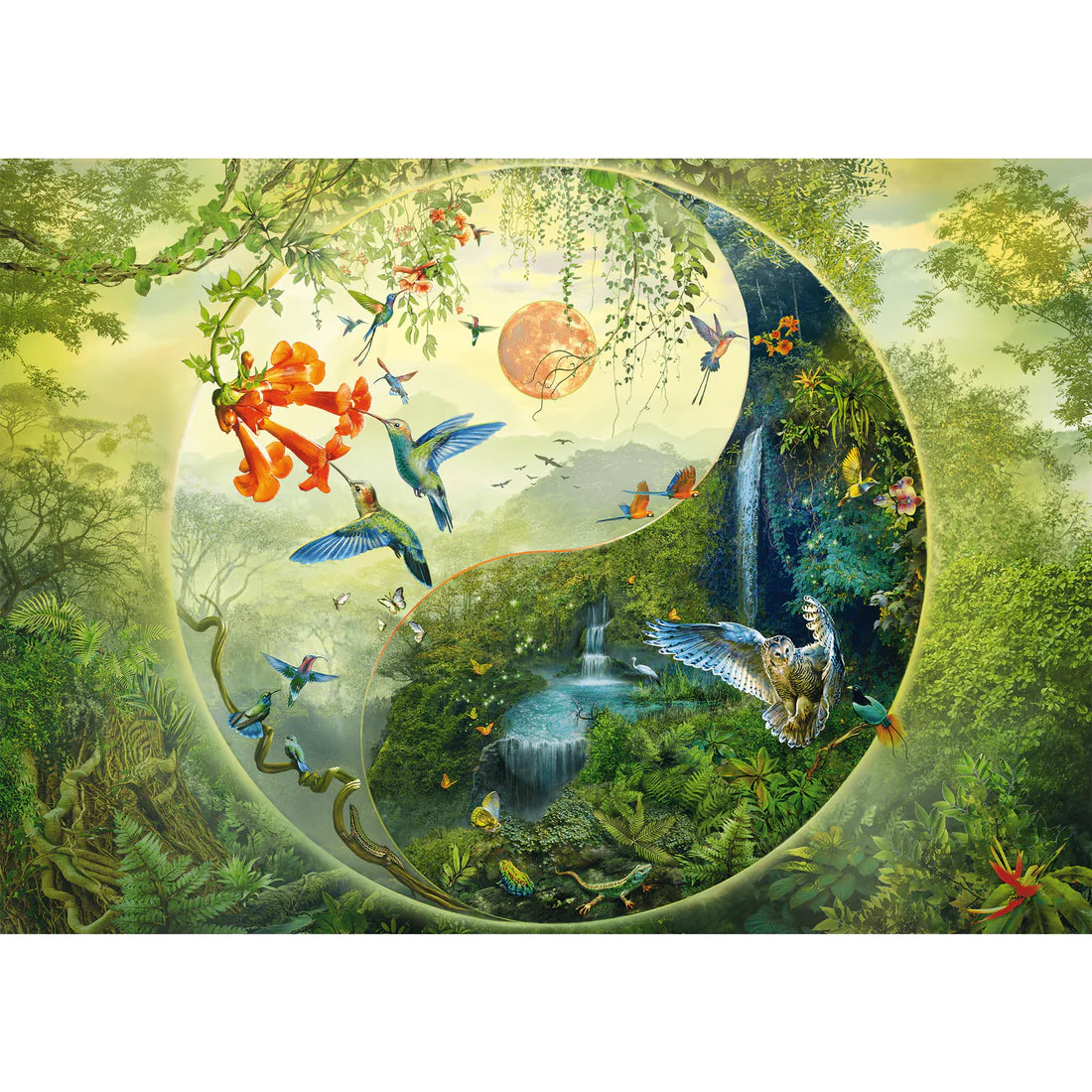 SCHMIDT YIN & YANG IN THE FOREST OF HUMMINGBIRDS 1000 PCS