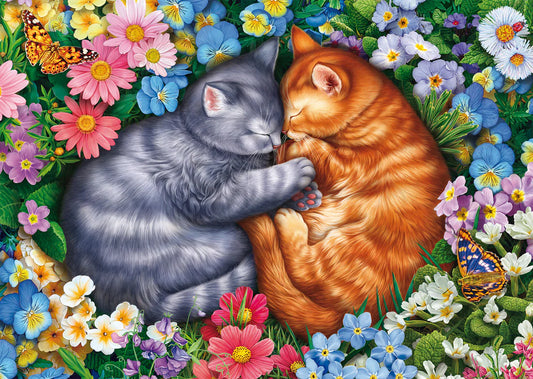 SCHMIDT SLEEPING VELVET PAWS 1000 PCS