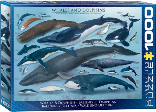 Eurographics Whales & Dolphins 1000-Piece Puzzle