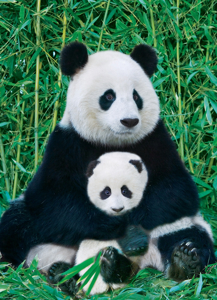 EuroGraphics Panda & Ba 1000-Piece Puzzle