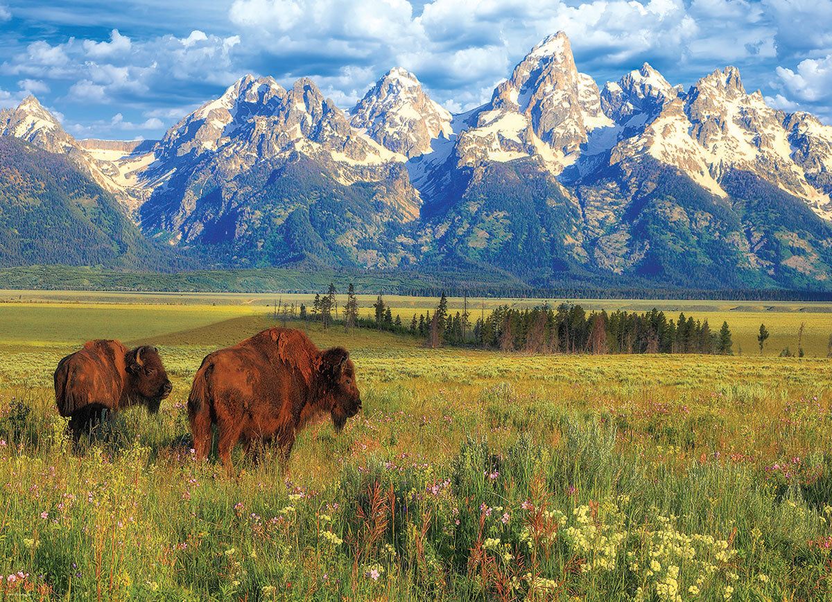 Eurographics Grand Teton National Park, Wyoming, USA 1000-Piece Puzzle