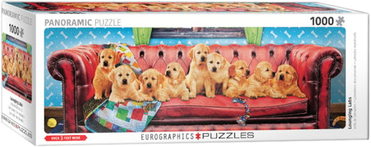 EUROGRAPHICS Lounging Labs 1000-Piece Puzzle