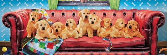 EUROGRAPHICS Lounging Labs 1000-Piece Puzzle