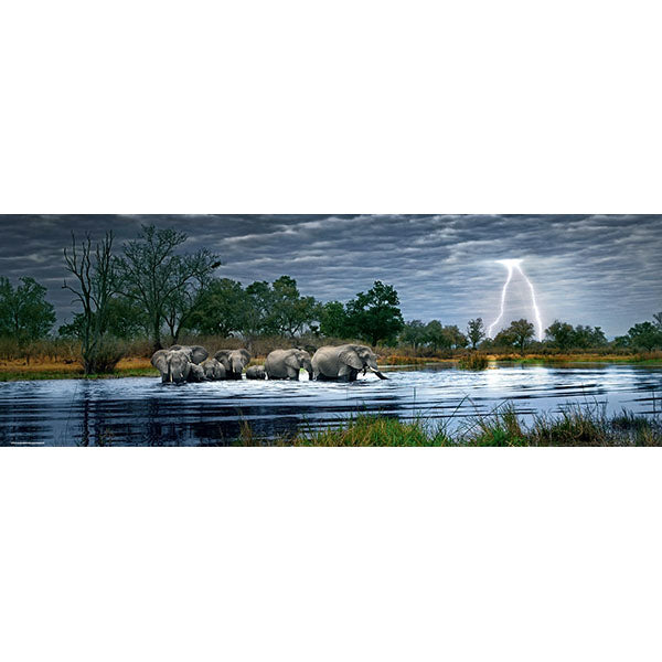 HEYE Herd of Elephants, AVH 2000pcs