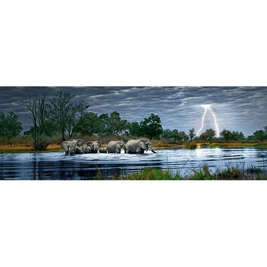 HEYE Herd of Elephants, AVH 2000pcs